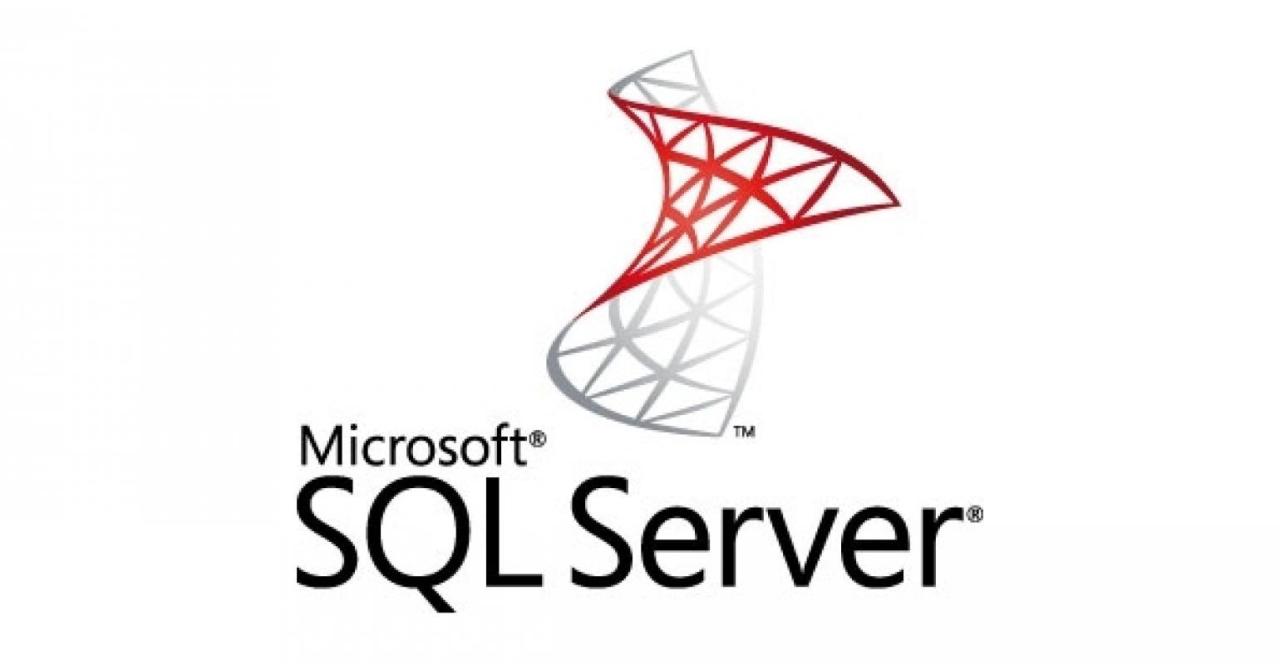 Ms sql